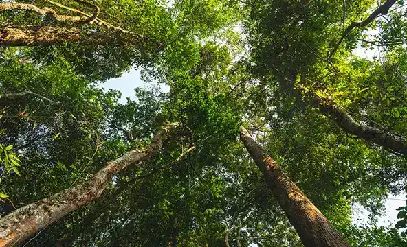 <img width="200" alt="Reasons sustainability 4" src="https://www.culligan.bg/wp-content/themes/culligan-emea/img/four-reasons-module//reasons-sustainability-4.webp" /> Reasons sustainability 4