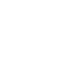 Zip brand logo